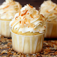 Coconut Cupcake