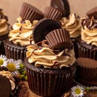 Peanut Butter Cupcake