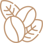 Bean Icon Bean Icon