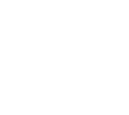 brand 1 brand 1