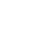 brand 1 brand 1